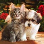 Наволочка "Друзья" размер 39х39 см