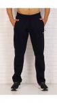 Брюки мужские [099100467]