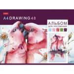 Альбом д/рис. А4 48л., скоба, обложка картон, HATBER, 205х290мм, Акварельная палитра (5 видов),48А4В