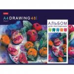 Альбом д/рис. А4 48л., скоба, обложка картон, HATBER, 205х290мм, Акварельная палитра (5 видов),48А4В