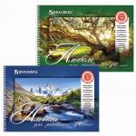 Альбом для рисования А4 40 л., гребень, обложка картон, BRAUBERG, 205х290 мм, Природа (2 вида), 102832