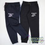 **Брюки с начесом