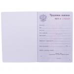 Бланк Трудовая книжка Гознак