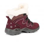 12-50-3 слива Ботинки зима женские (38-41)/7