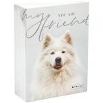 Фотоальбом 100 фото 10*15 см, ArtSpace My friend, ПП карман, PA_22244