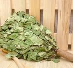 Веник березовый "Евро" с оплеткой