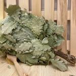 Веник дубовый "Евро" с оплеткой