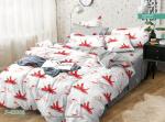 42006 Комплект постельного белья