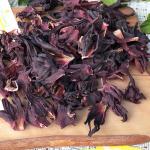 Гибискус (цветы цельные)