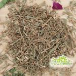 Горец птичий (спорыш), (трава)