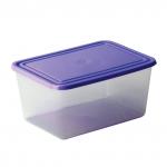 Контейнер 2л С КРЫШКОЙ, герметичный, универсальный, хранение и СВЧ, (в10*ш15*г20,5 см), IDEA, М 1453