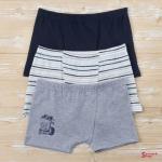 Боксеры DOMI BOYS 62000-40, 3 шт. в уп.