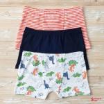 Боксеры DOMI BOYS 62000-42, 3 шт. в уп.