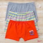 Боксеры DOMI BOYS 62000-48, 3 шт. в уп.