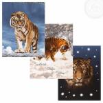 Комплект полотенец Раджа 50*60 см, - 3 шт. рогожка хлопок 100%