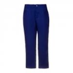 Брюки БР-1656-3 Marine (БР-1655/)