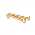 Винты для накладного выключателя 3 шт. (золото) Ретро