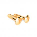 Винты для распределительной коробки/TV  розетки 2 шт. (золото) Ретро