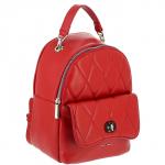 Рюкзак  CM6212