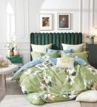 1170 Комплект постельного белья