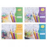 УИД Раскраска-гляделка, бумага, 58х41см, 4 дизайна