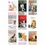 Блокнот А6 32л. на скрепке ArtSpace Питомцы.Микс, Б6к32_23473