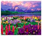 Алмазная мозаика арт. GB77216 Цветы и горы 30х40 полная выкладка на подрамнике=