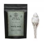 Белый калифорнийский шалфей на ножке, 10 см