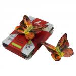 Набор масок "Комплимент знойной красотке" с многофункциональным эффектом