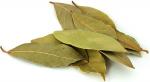 Лавровый лист сушеный экстра