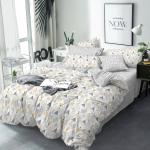 Комплект постельного белья рис.4747-1+4414а-2 Аксель