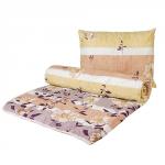 НАБОР  Дача  одеяло облегченное 100 гр 172х205 + подушка 50х70 (2 шт),  Цветы