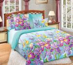 Виолетта 2 Гол КПБ Евро (2 нав.) арт 4100БН