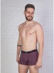 Мужские трусы боксеры "Индефини" (Арт. 611000-MUB1067)