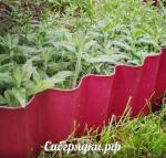 ВОЛНА 240х1100 одност. окраска 10 штук