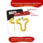 Игра-головоломка BRAINY TRAINY УМ678 Скорочтение