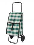 Сумка-тележка Green 25 кг, 34*20*84 см, кол.пластик d=135 мм, D203, 93581, Рыжий Кот