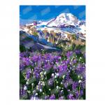 Кпн-082 Картина по номерам "Цветочные луга"