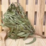 Веник эвкалипт с оплеткой (евро)