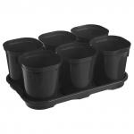 "Ingreen" Горшок для рассады пластмассовый "Smart Solution" 400мл, набор 6шт, с поддоном 25х17х10см, многоразовый, оникс (Россия)