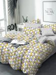 Комплект постельного белья рис.4414-1+4414а-1 Мелисса