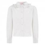 Блузка БЛ-18142-24 (комбинированная руб)