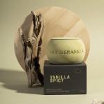 Свеча натуральная соевая "Vanilla Spicy", 110 мл