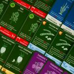 Доп. набор ПРАВИЛЬНЫЕ ИГРЫ 13-01-06 Эволюция. Растения