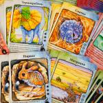 Доп. набор ПРАВИЛЬНЫЕ ИГРЫ 13-03-03 Эволюция. Климат