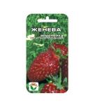 Женева 10 шт клубника (Сиб Сад)