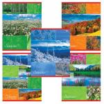 Тетрадь 48 листов (клетка) Времена года, картонная обложка, арт. 402323