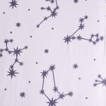 Наволочка поплин 301/1 Зодиак компаньон в упаковке 2 шт 70/70