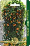 Тунбергия Сюзи Оранж. Семена.