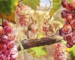Белочки кушают виноград